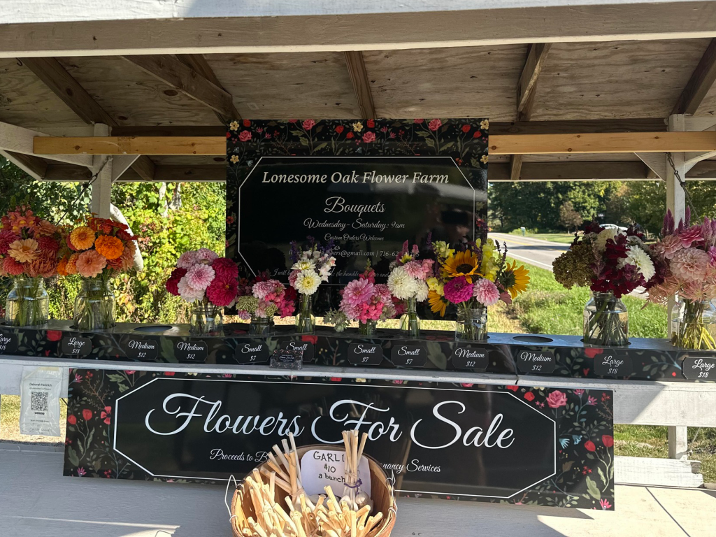 548084466_122138977034842681_2378648768732008103_n